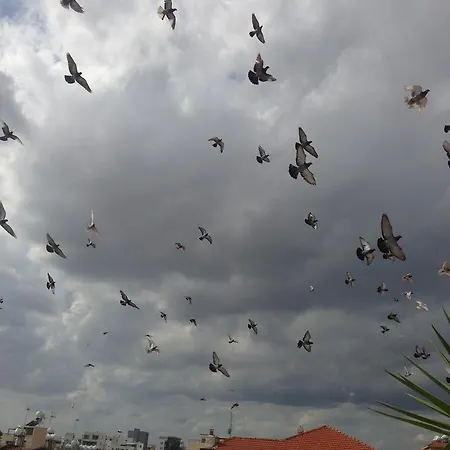 Saint Lazarus Street Condo *